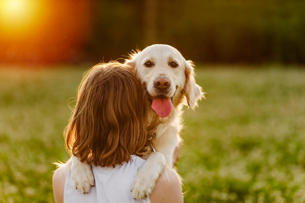 Portrait of teenage girl petting golden retriever outside in sunset