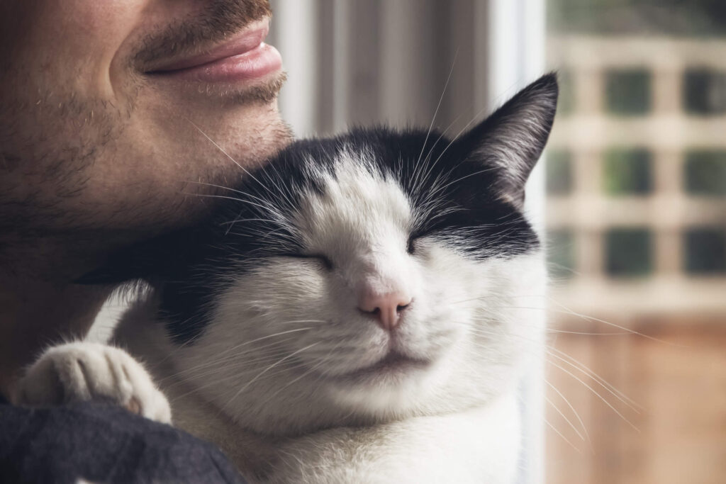 Closeup of a black and white cat cuddled by a beard man